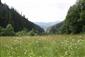 Nížinné a podhorské kosné lúky (14.6.2014)